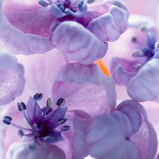 052