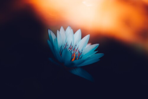00028.jpg